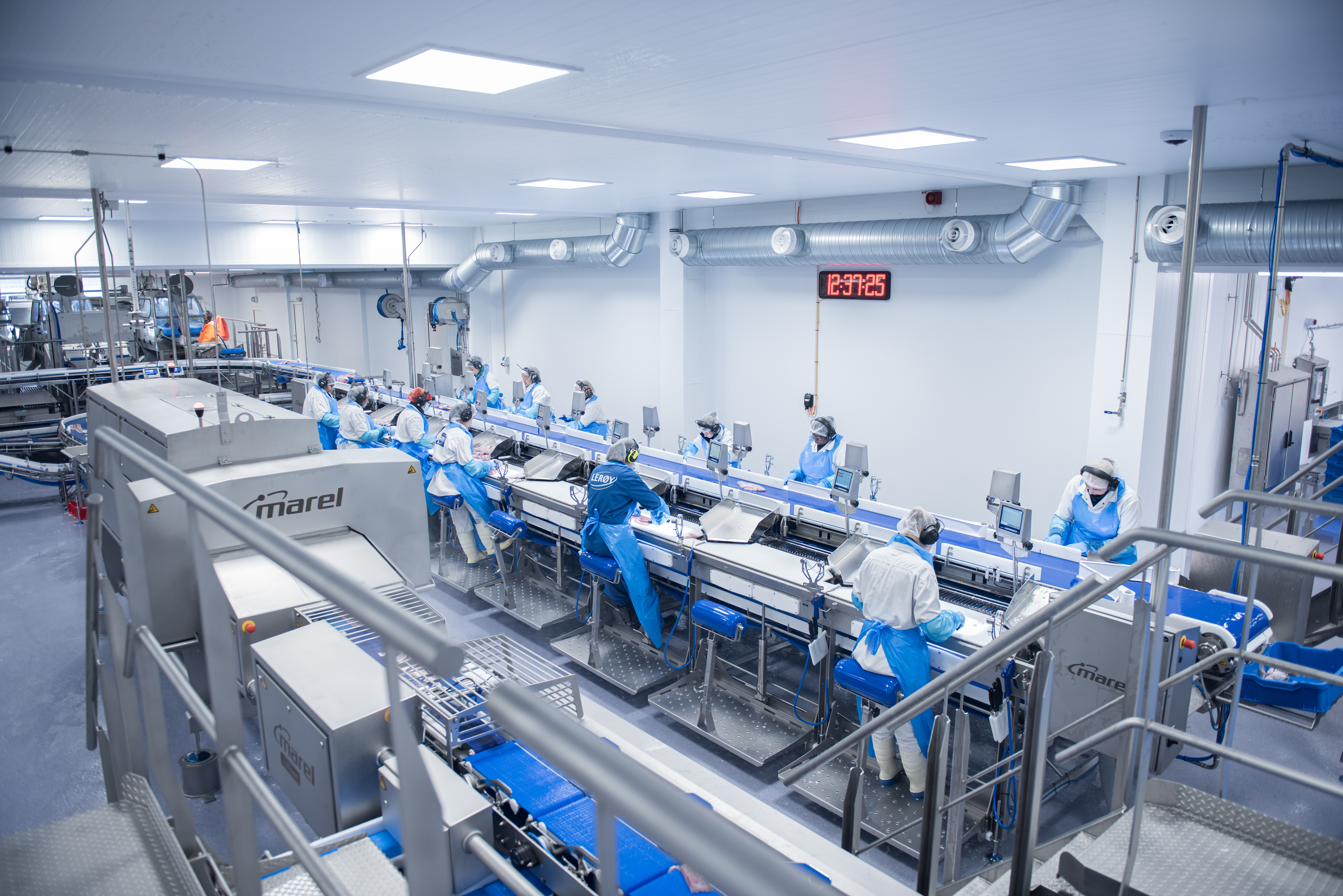 Innendørs fra produksjonslinjen fra fabrikken i Båtsfjord