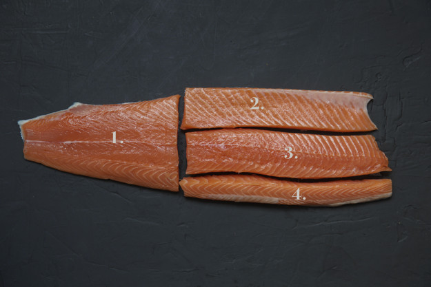 laxfilén i fyra delar 