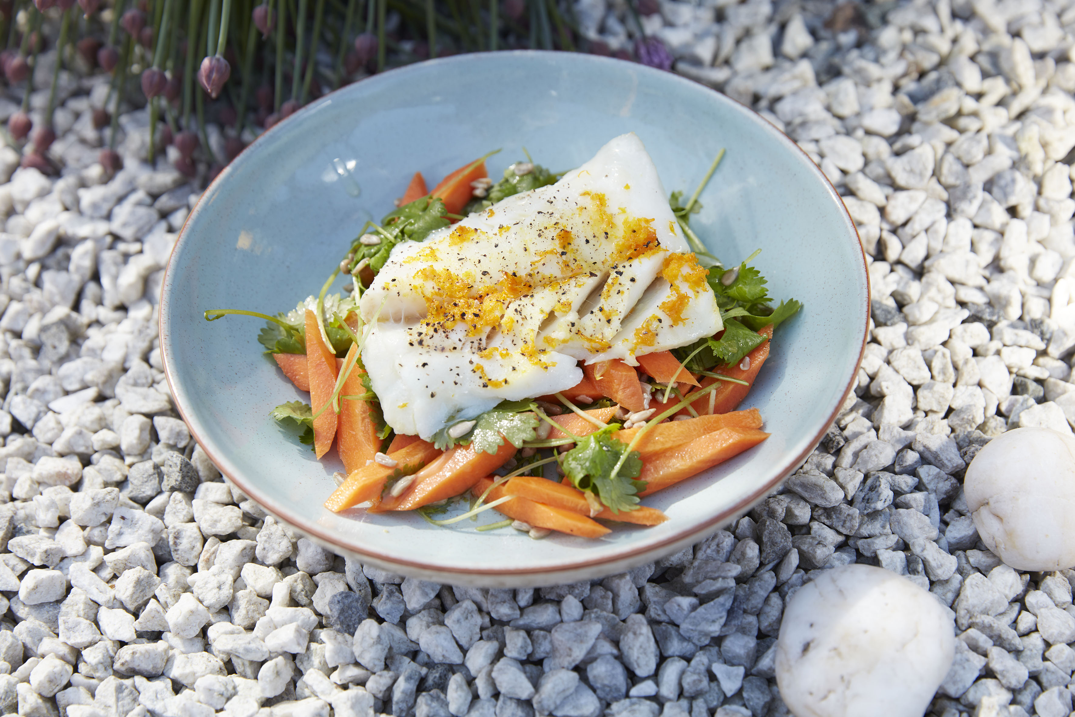 Grillet torsk med appelsin og koriander